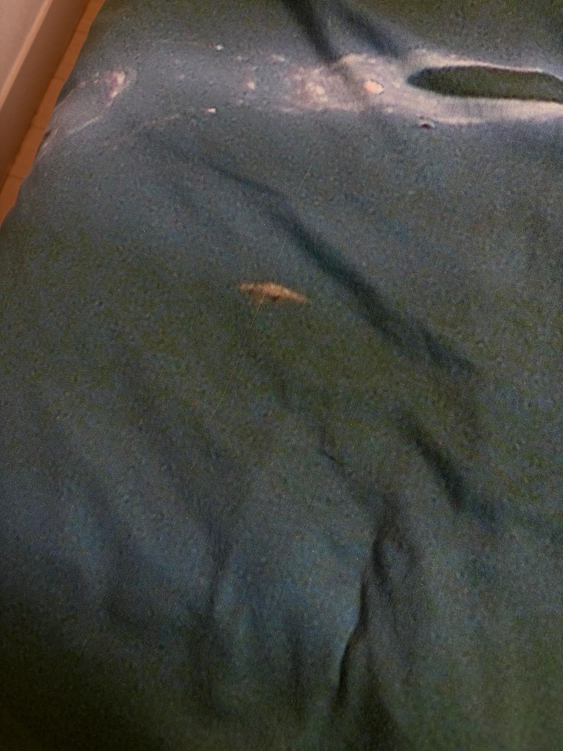 블레스 bless lake 이불 상품이미지6