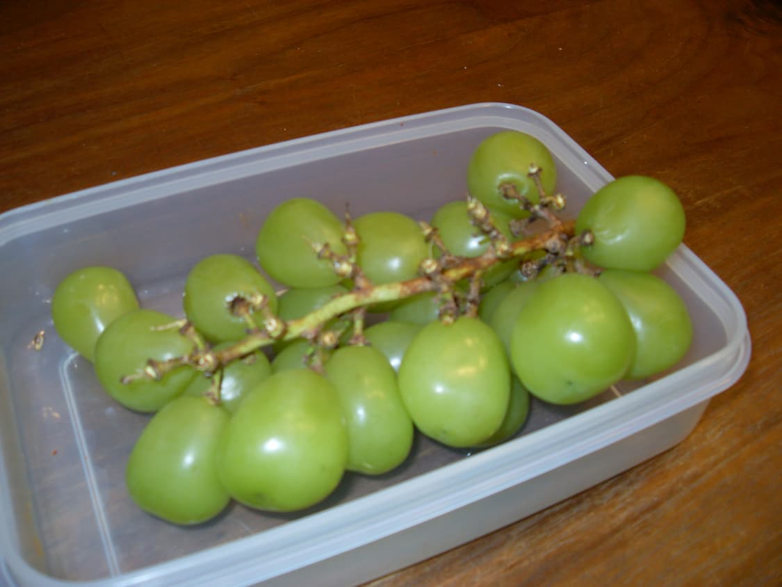 삼성 vluu l100 핑크 디카 상품이미지5