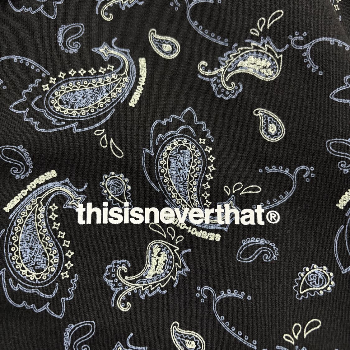 디스이즈네버댓 후드티 상품이미지3