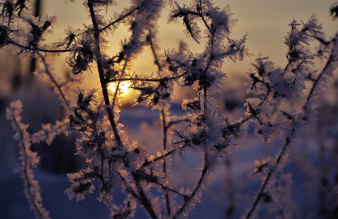 작례O 삼성 gx 10 단렌즈 줌렌즈 세트 디지털카메라 빈티지 디카 상품이미지3