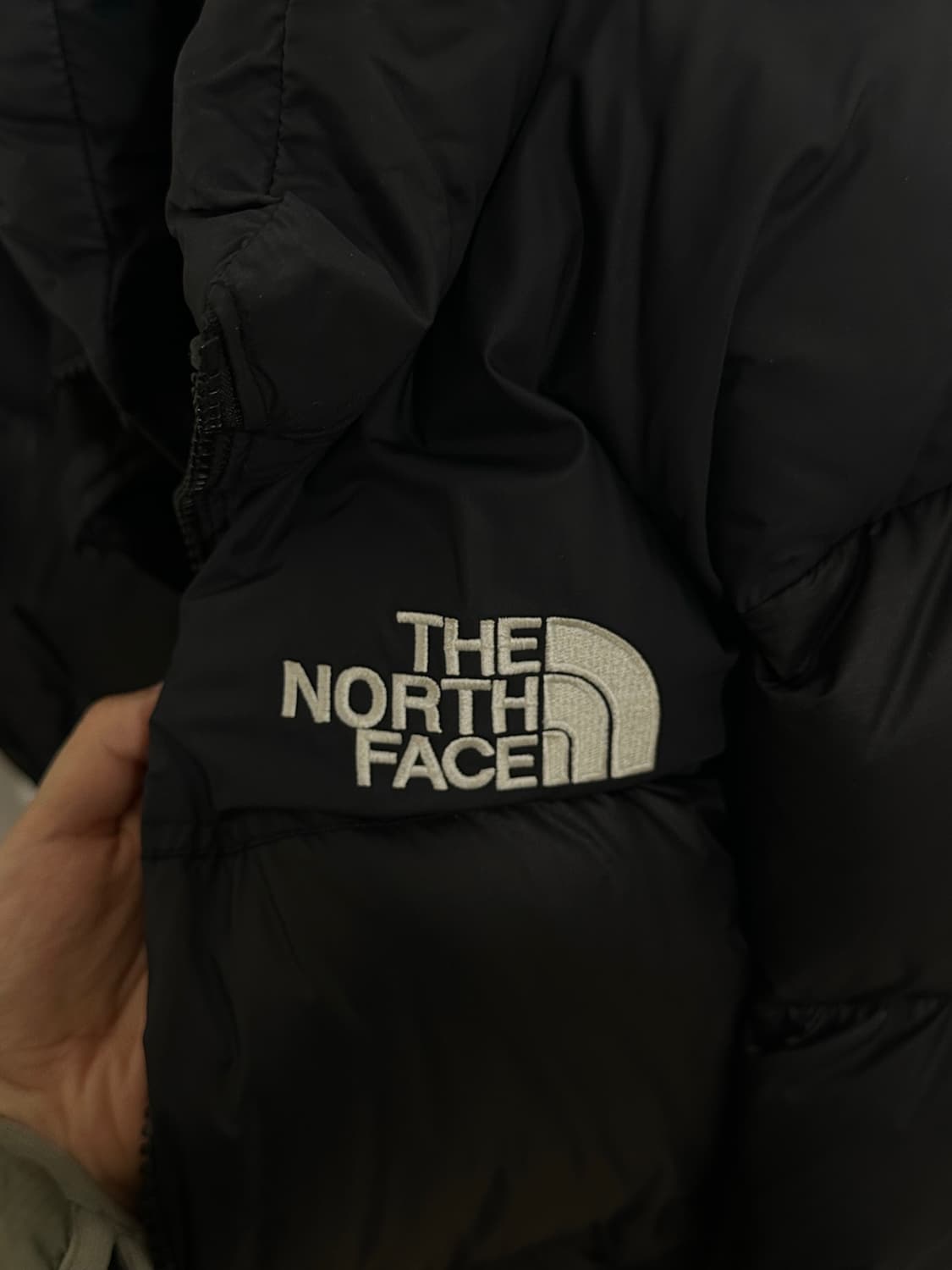 노스페이스 1996 에코 눕시 패딩 상품이미지4