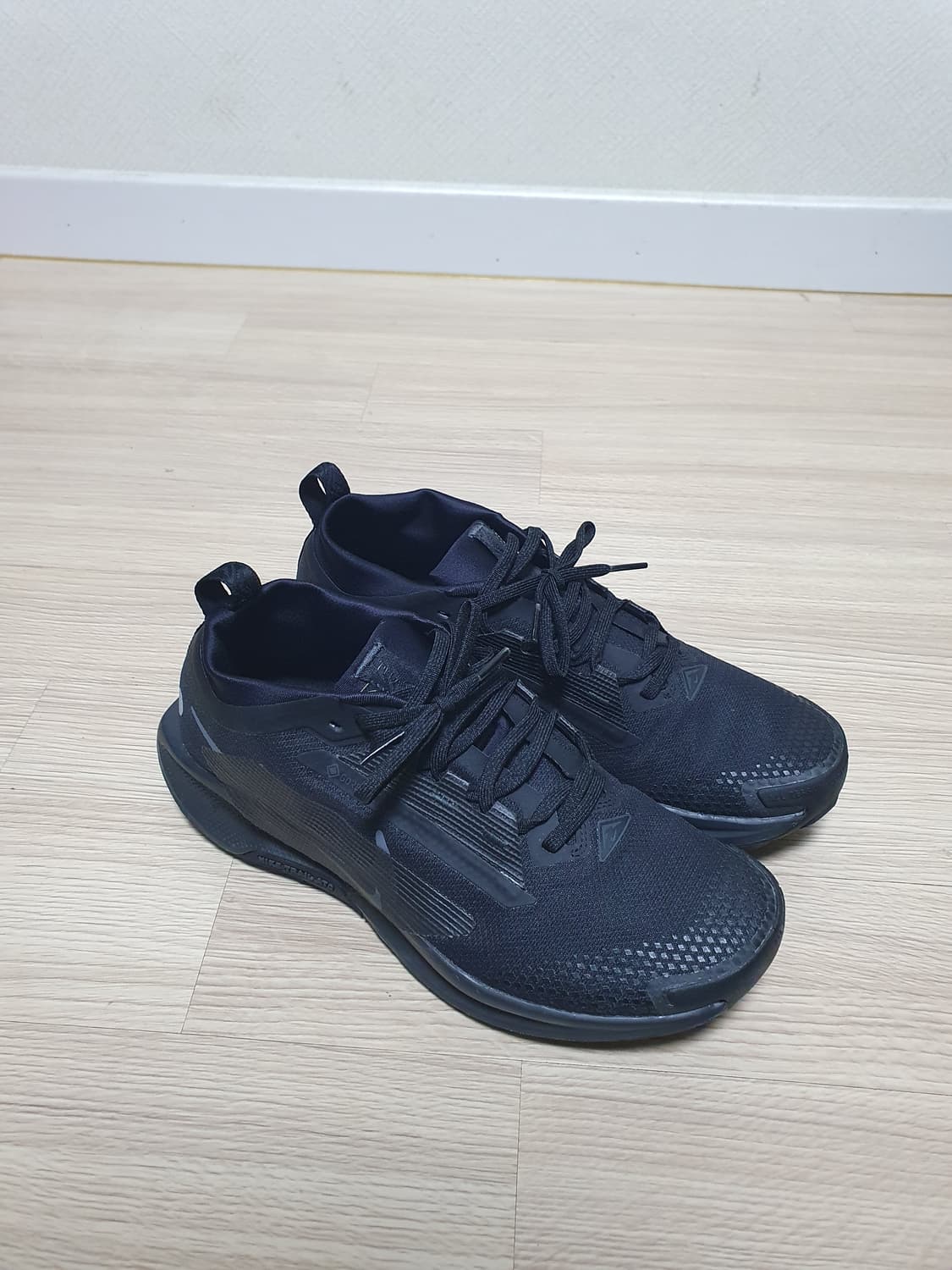 나이키 페가수스 트레일5 고어텍스 270 상품이미지2