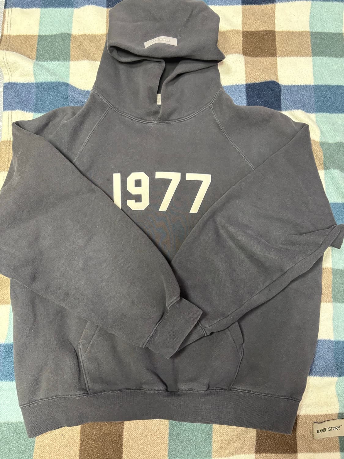 에센셜 1977 후디 아이언-22s M 상품이미지2