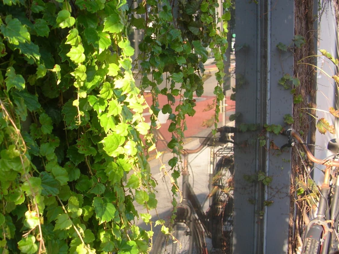 니콘 쿨픽스 4100  상품이미지5