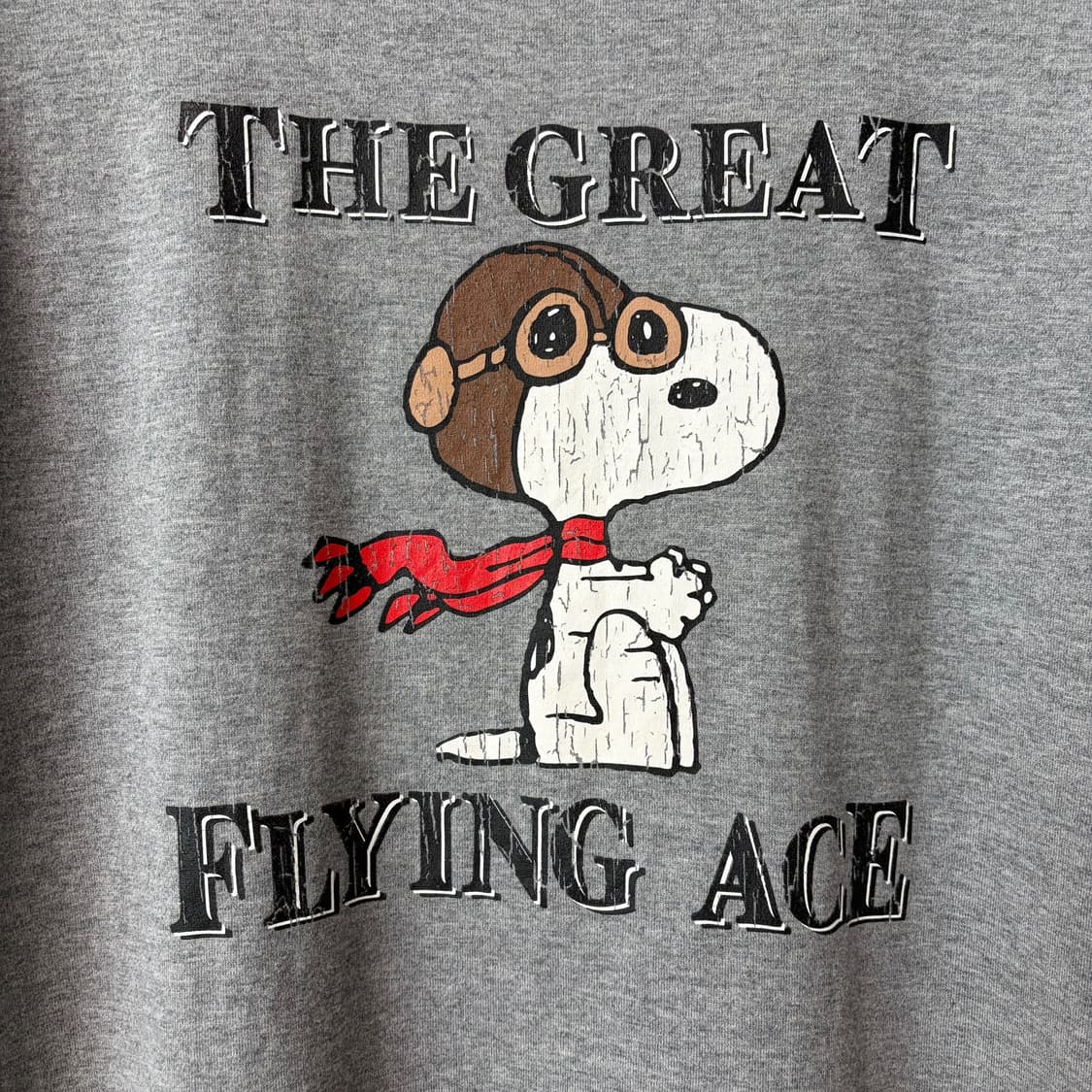 (M)챔피온 x 피너츠 스누피 반팔티셔츠 상품이미지4