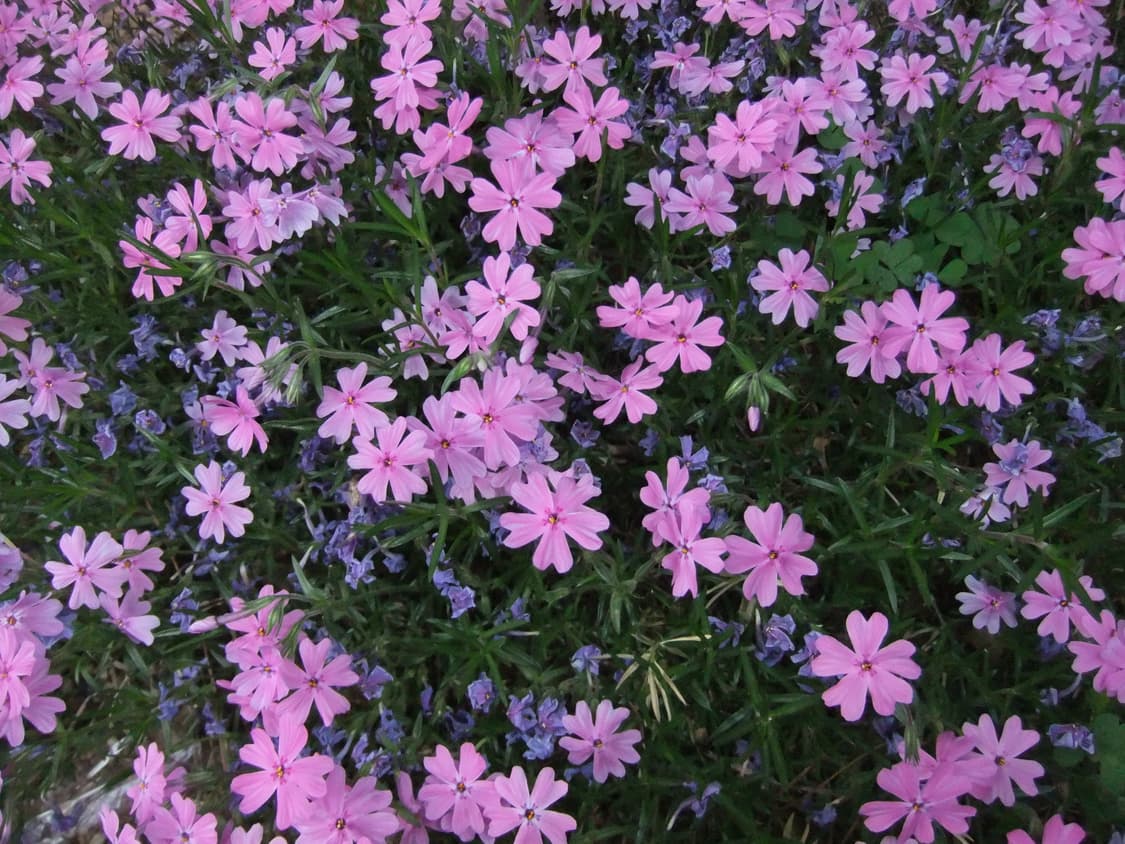 후지필름 파인픽스 F70EXR 디카 디지털 카메라 상품이미지5