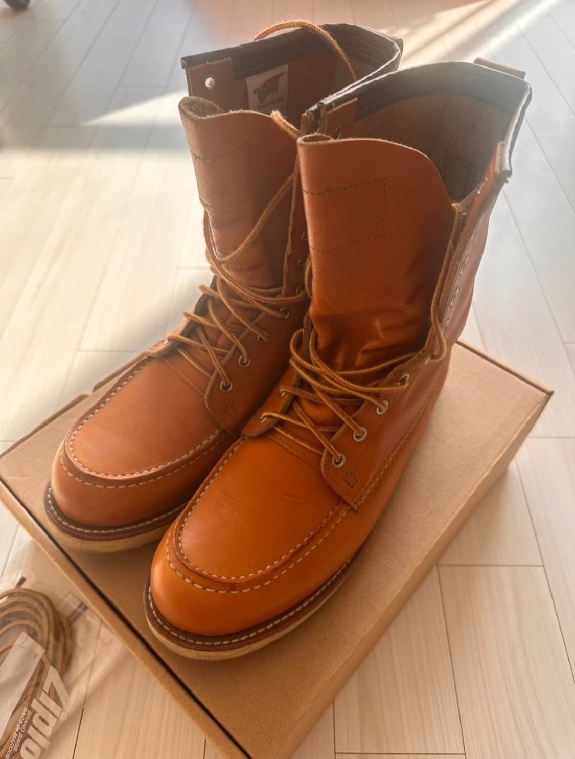 레드윙 9877 아이리쉬세터 275mm  상품이미지5