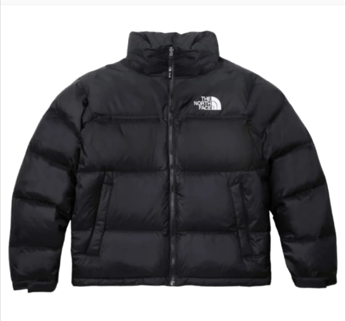 노스페이스 1996 눕시 여성용 XL(100) 팝니다 상품이미지1