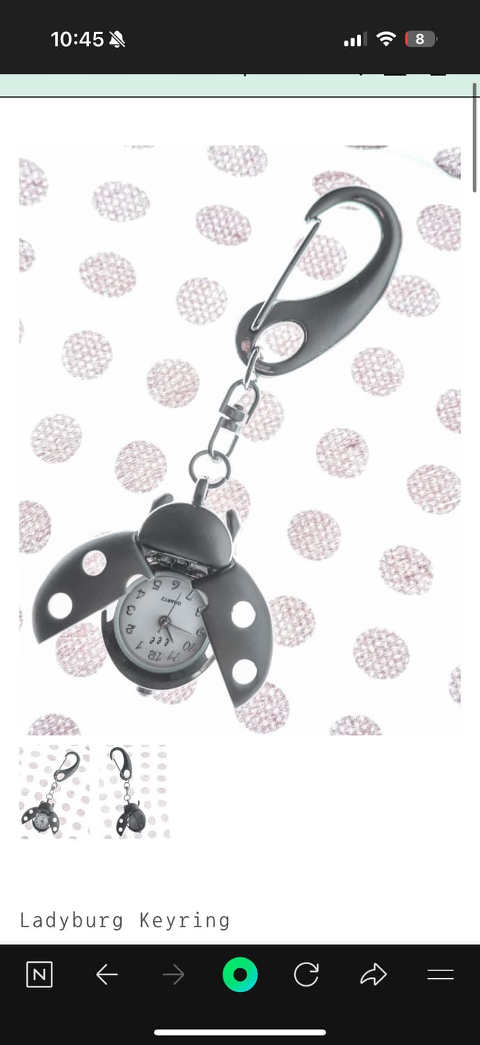 Espace ladyburg keyring 이스페이스 무당벌레 키링 상품이미지1