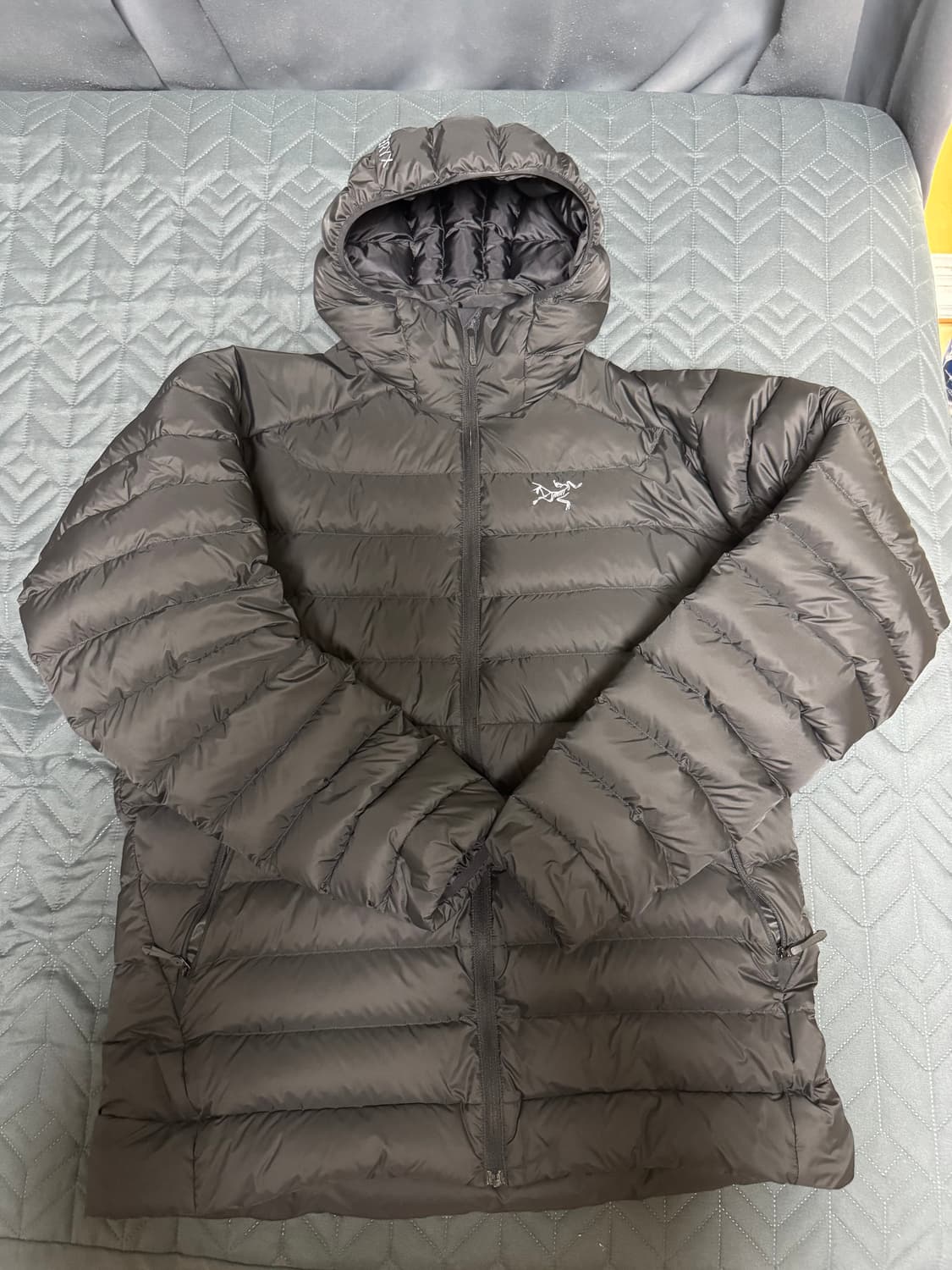 [L] 아크테릭스 세륨 후디 블랙 상품이미지1