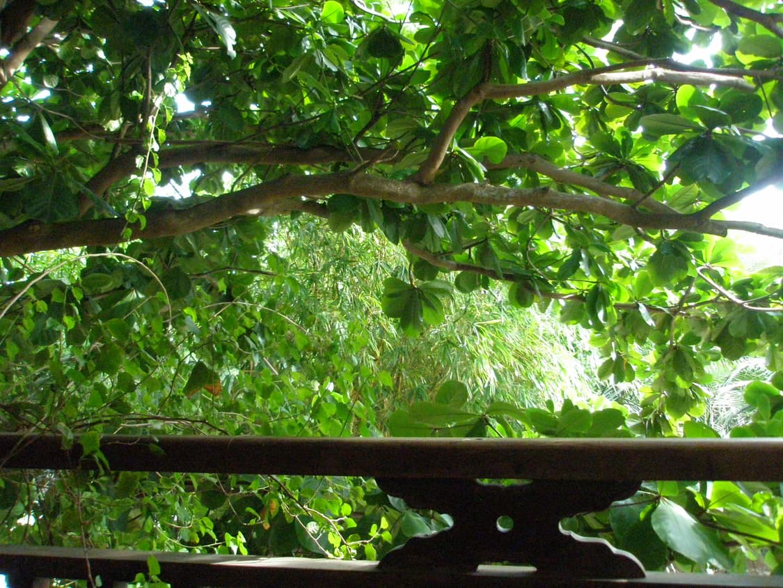 올림푸스 FE-240(작례O) 상품이미지6