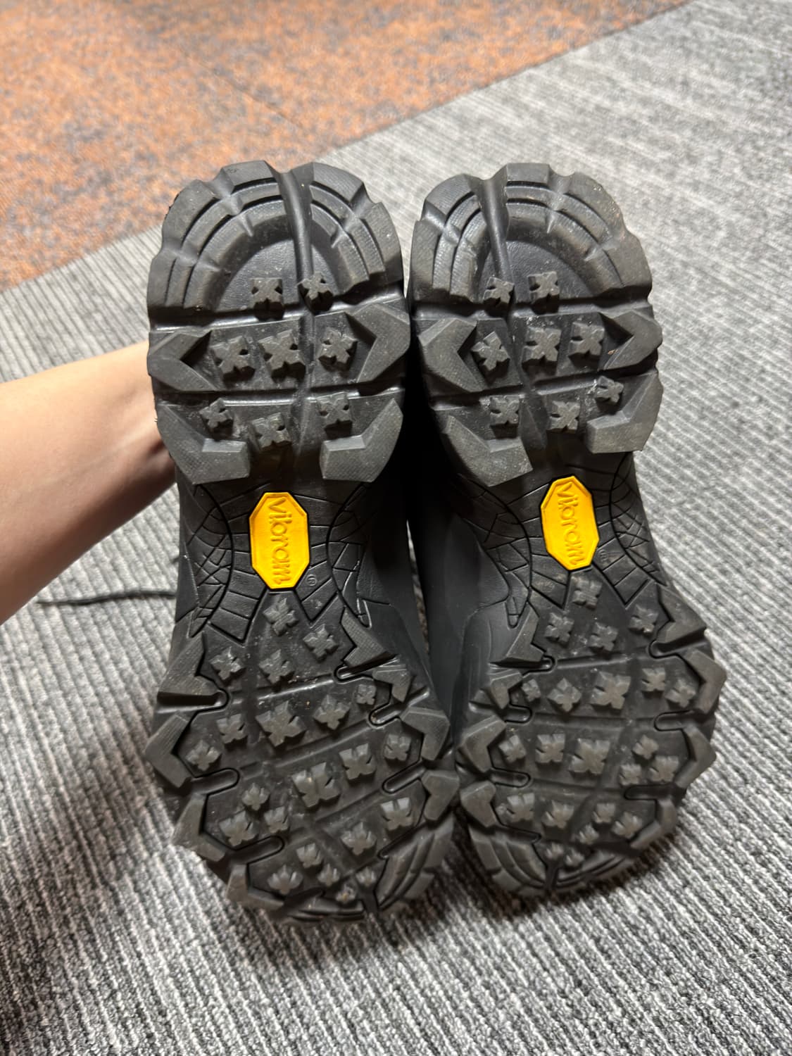 로아 카타리나 43  상품이미지4