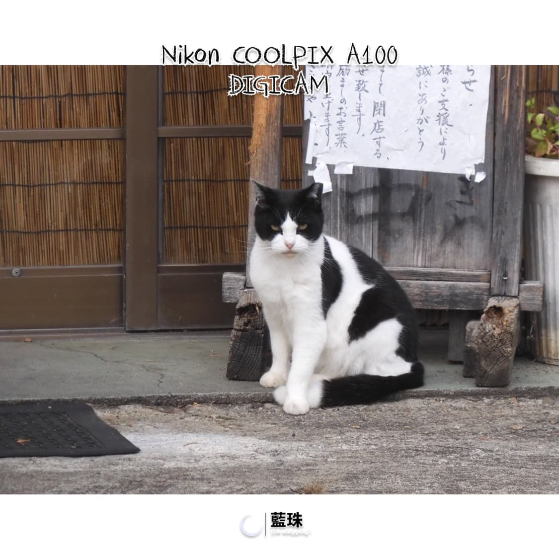 니콘 쿨픽스 A100 빈티지 레트로 디카 디지털카메라 실버 상품이미지6