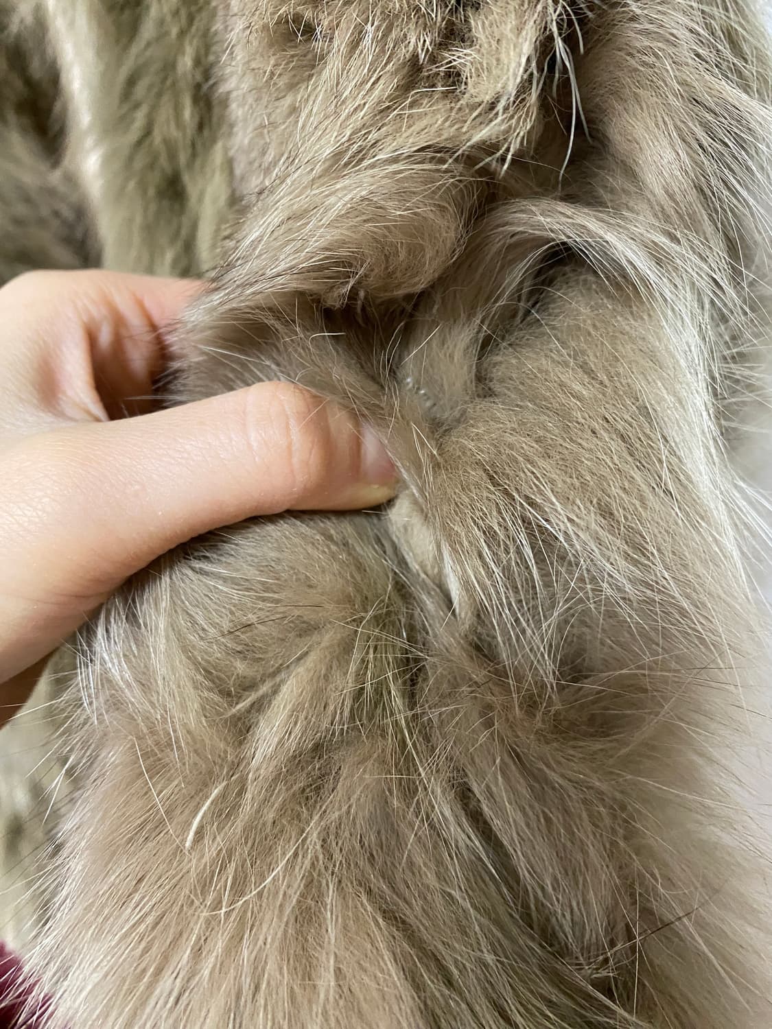 갸루girl st 퍼 조끼 상품이미지6