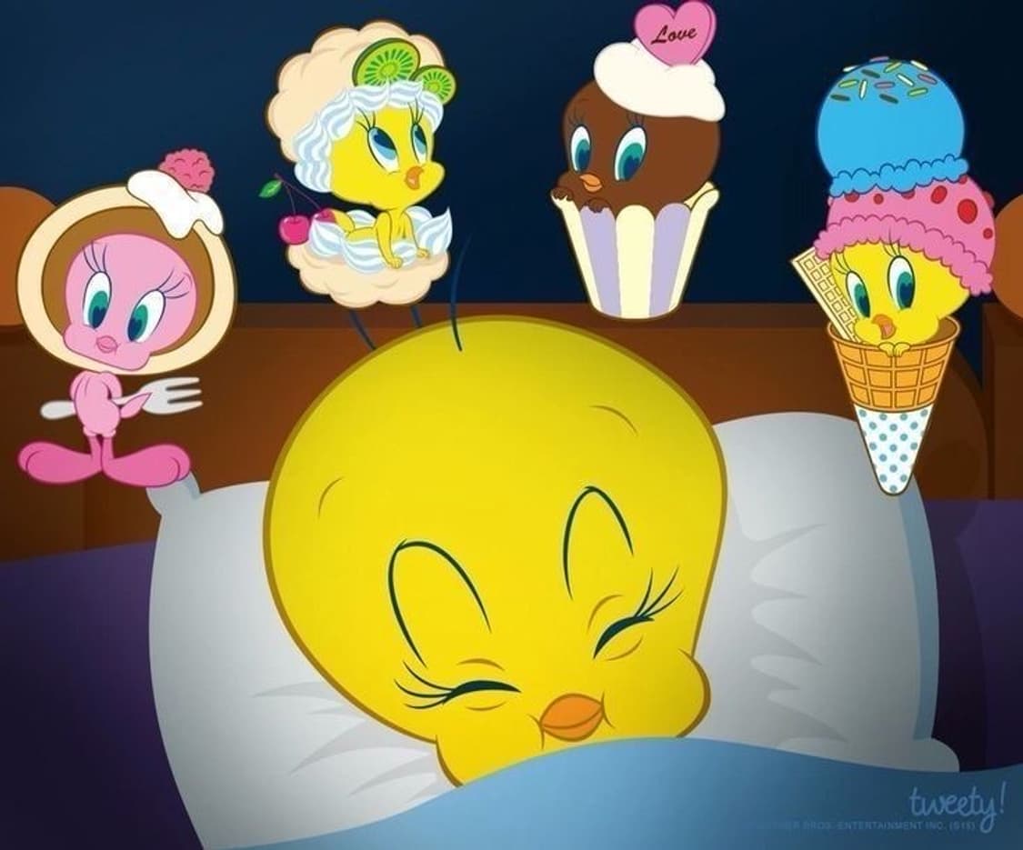 나이키 패딩 구매 상품이미지1