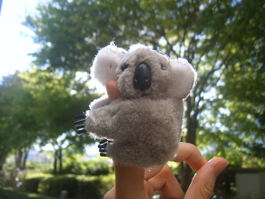 SAMSUNG KENOX U CA5 디지털카메라 상품이미지6