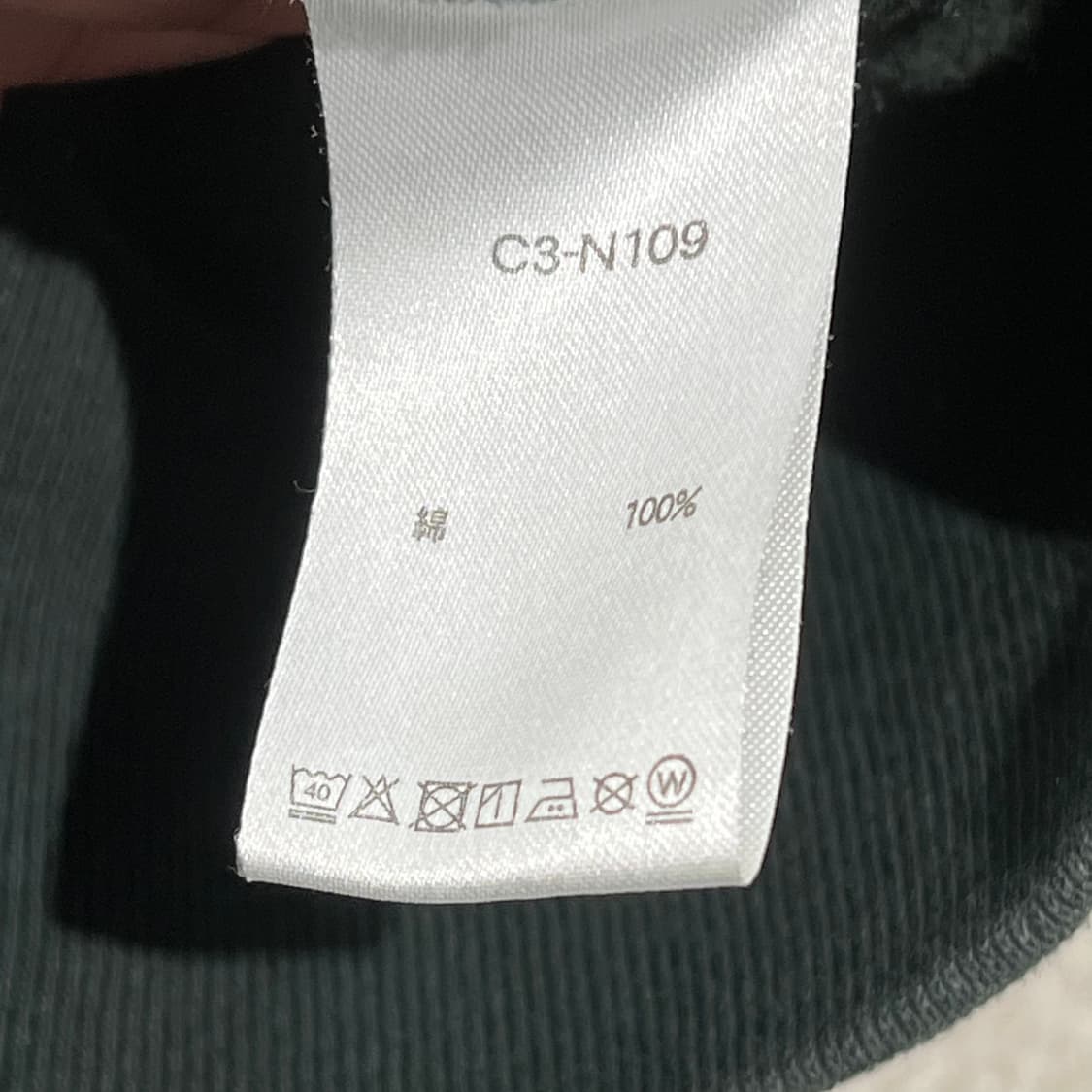 챔피온 50s 복각델타 후드티 s10336 상품이미지9