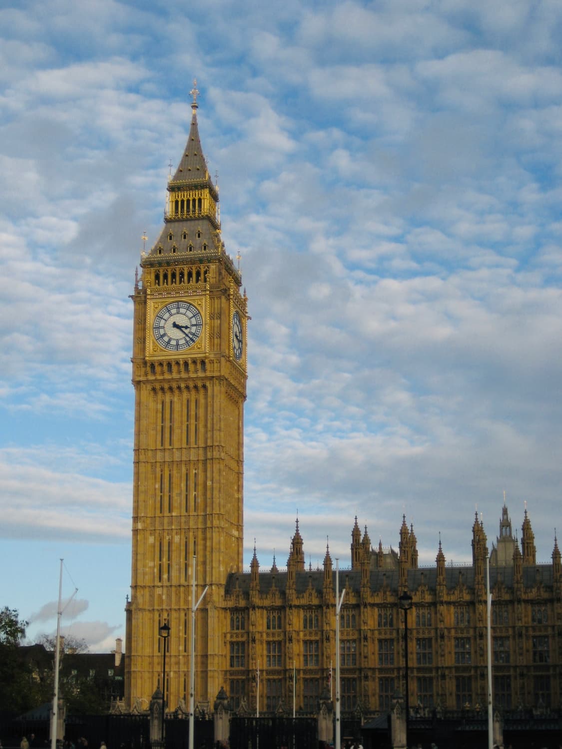 프리지아&필름색감!) Canon IXUS 70 디카 카메라 상품이미지2