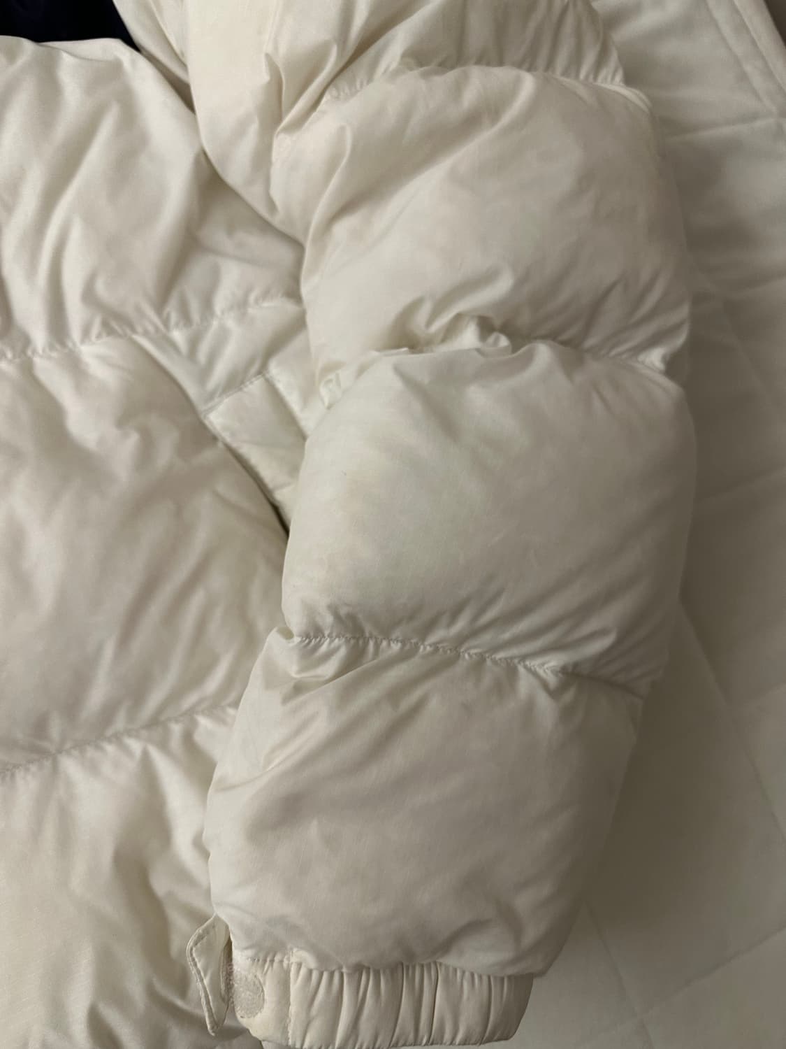 눕시 화이트 L 1996 에코 상품이미지3