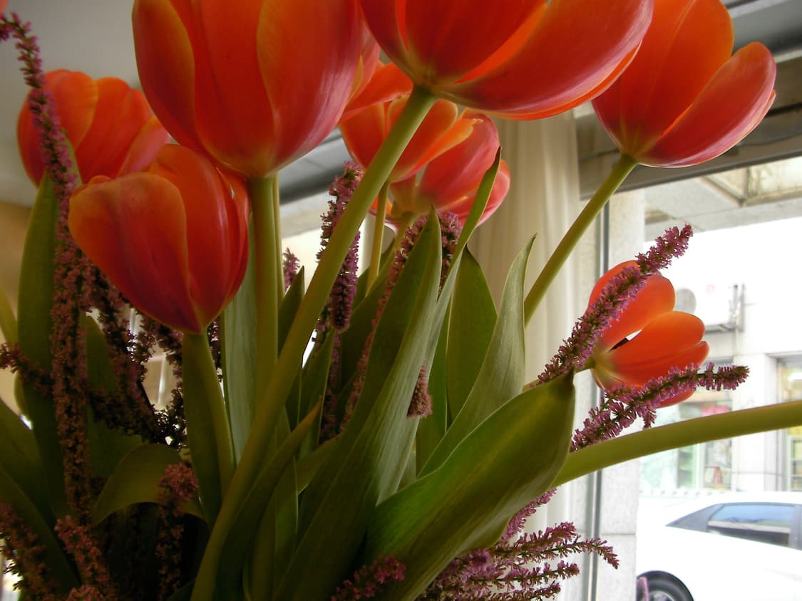 산요 작티 cg6 블루 상품이미지7