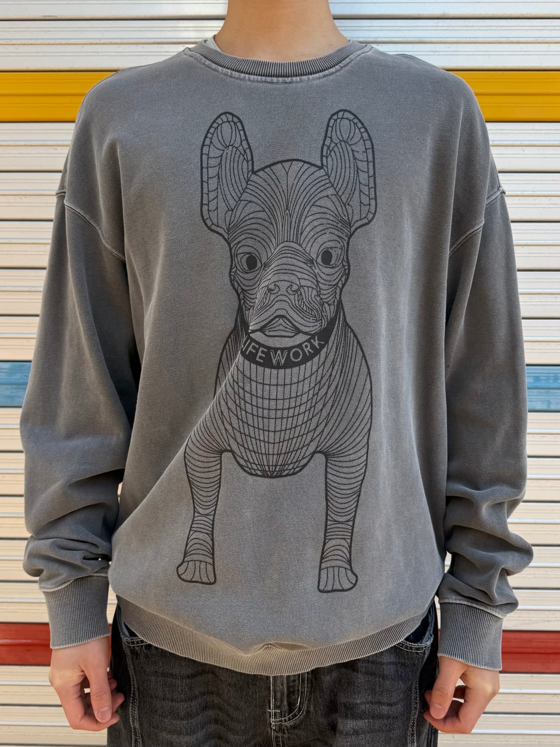 LifeWork Bulldog Graphic Crewneck 상품이미지3
