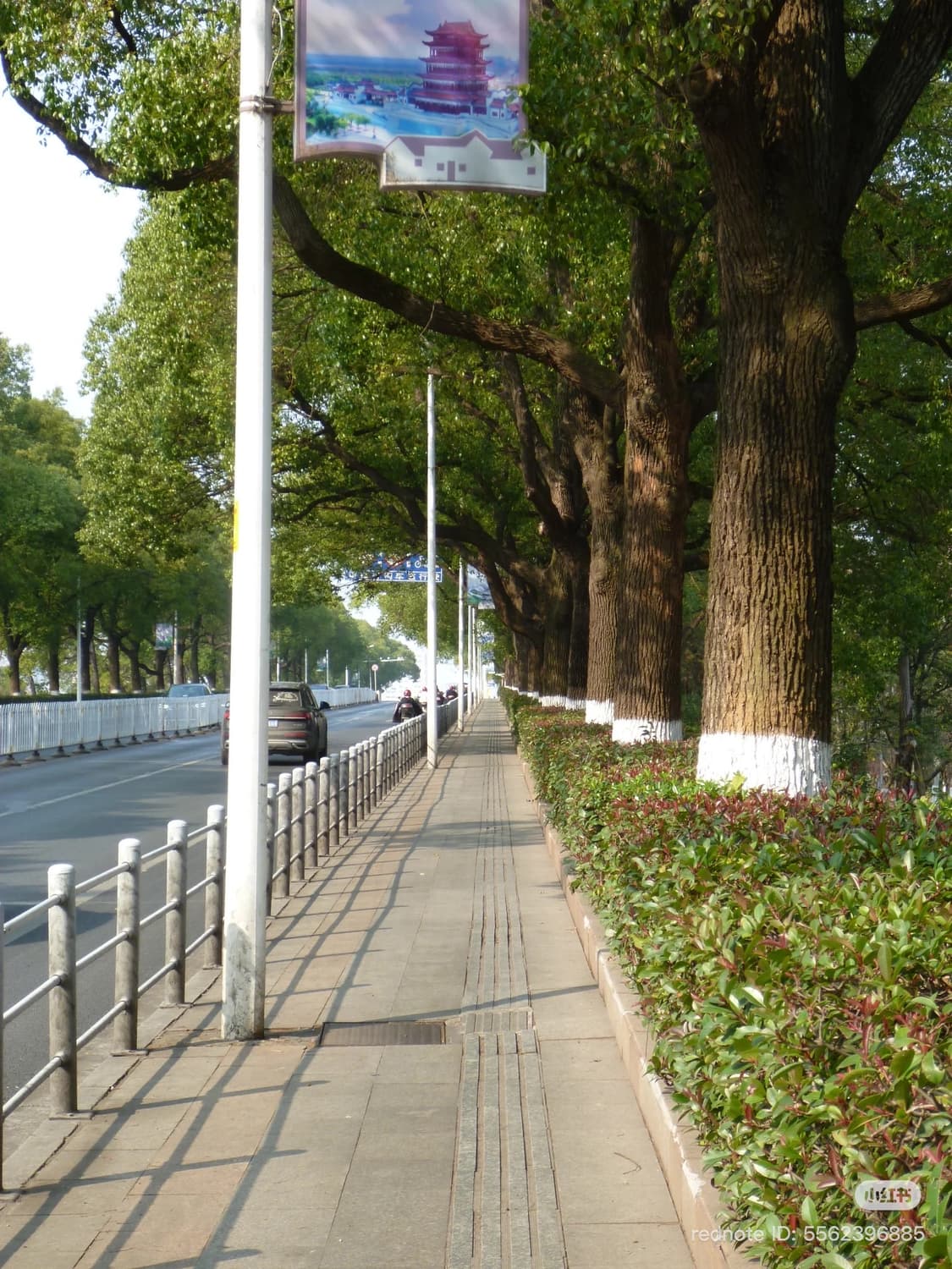 [인물 사진 맛집] 파나소닉 루믹스 fx70 디카 판매합니다! 상품이미지6