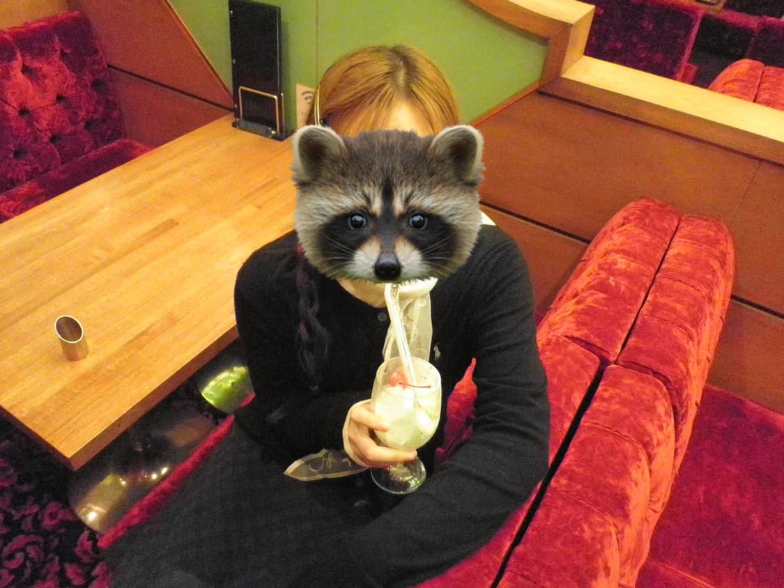 Olympus 올림푸스 FE-4020  상품이미지4