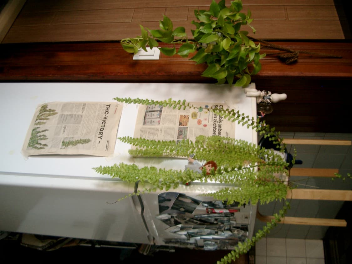 Casio exilm QV-R4 카시오 디지털카메라 상품이미지6