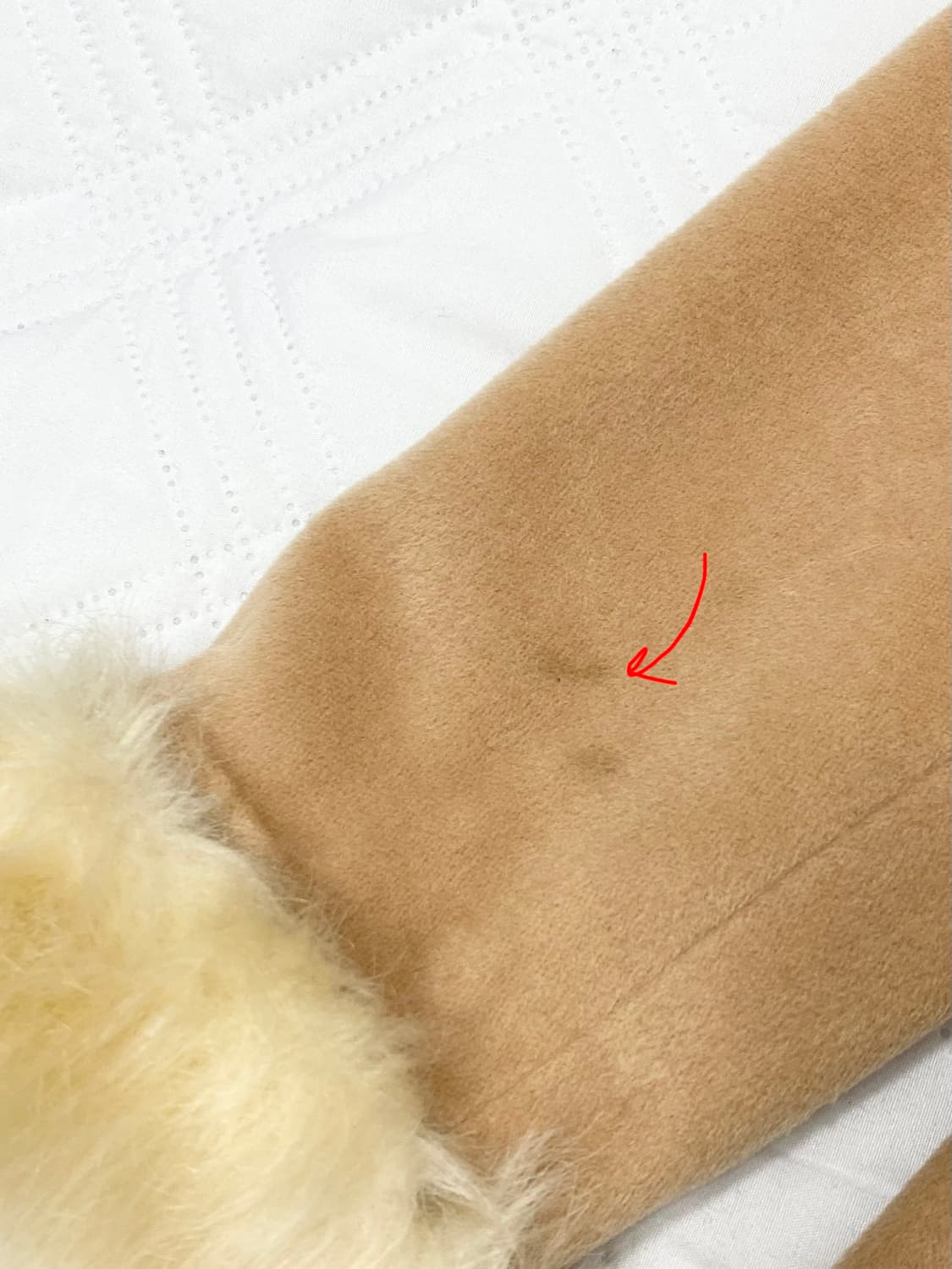 ꒰ঌ 라떼갸루 사토미깔 리락쿠마 코트 ໒꒱ 상품이미지5