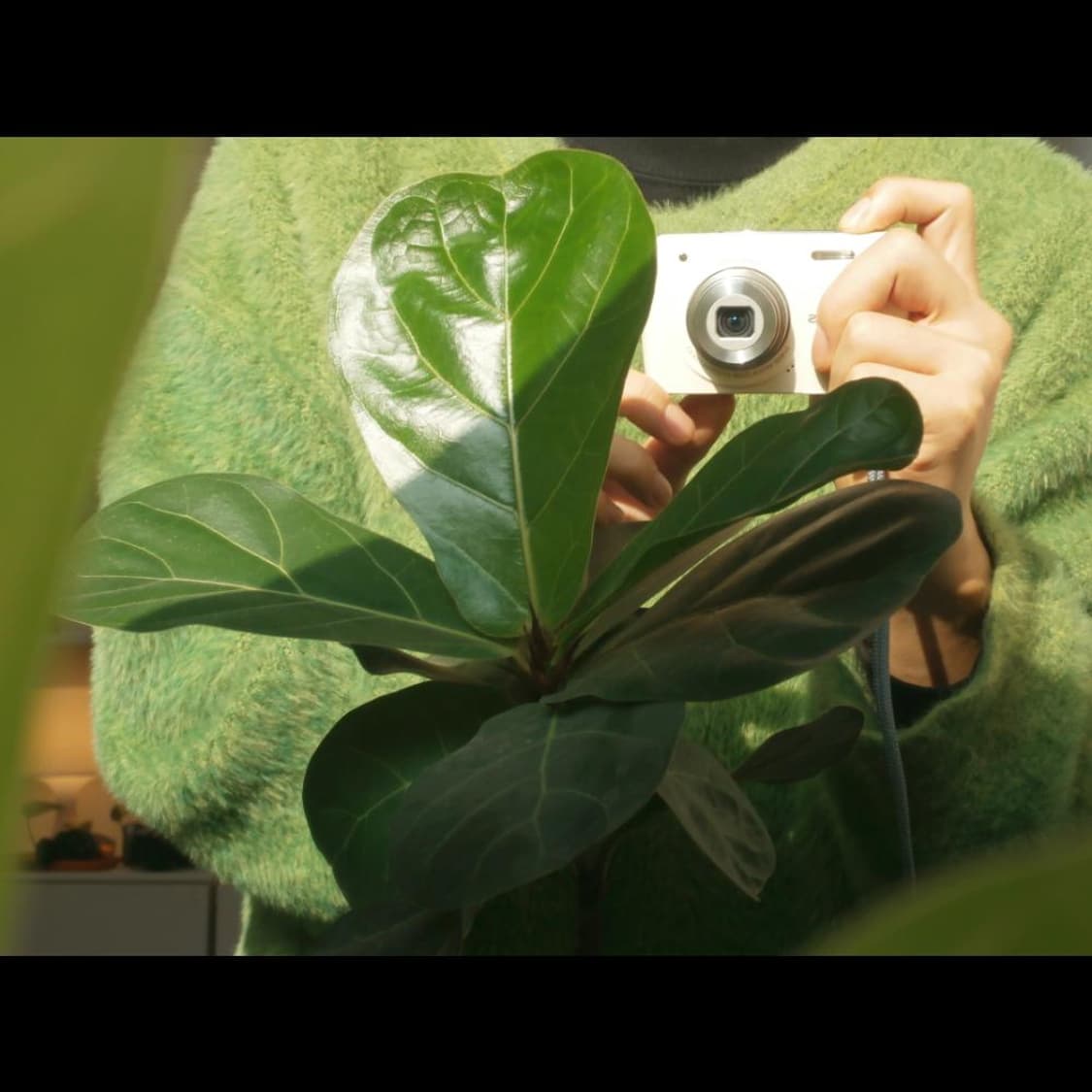 올림푸스 VH-210 박스  로즈 핑크글로시💗 빈티지 디카 디지털카메라 상품이미지2