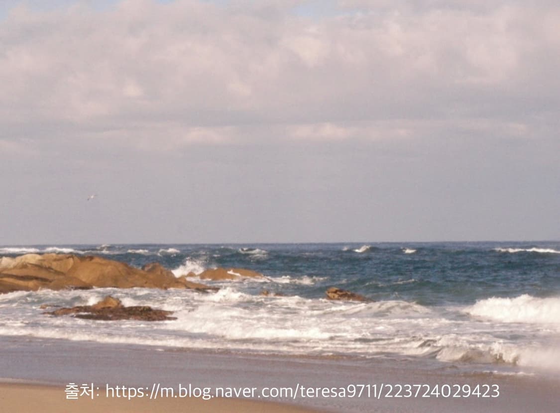 산요 작티 HD1A 상품이미지5