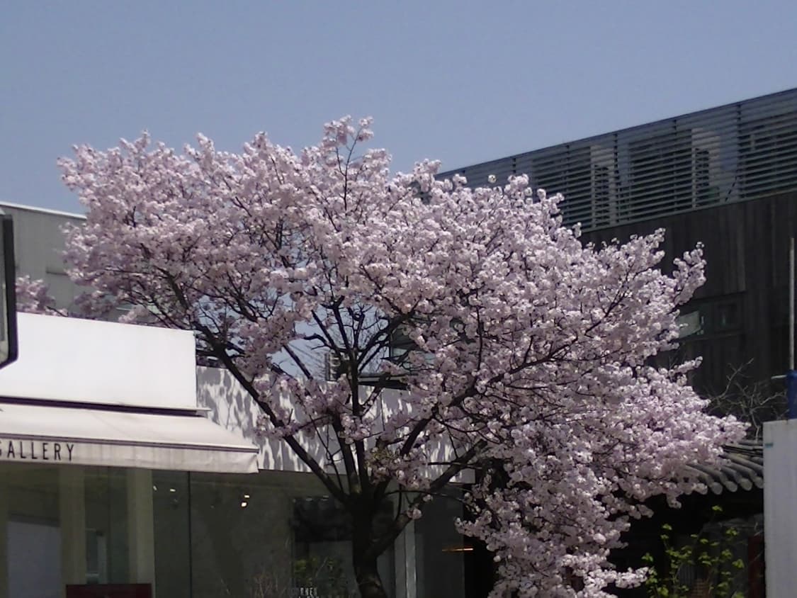 JVC GZ-HM33-S 캠코더 풀HD 실버 상품이미지10