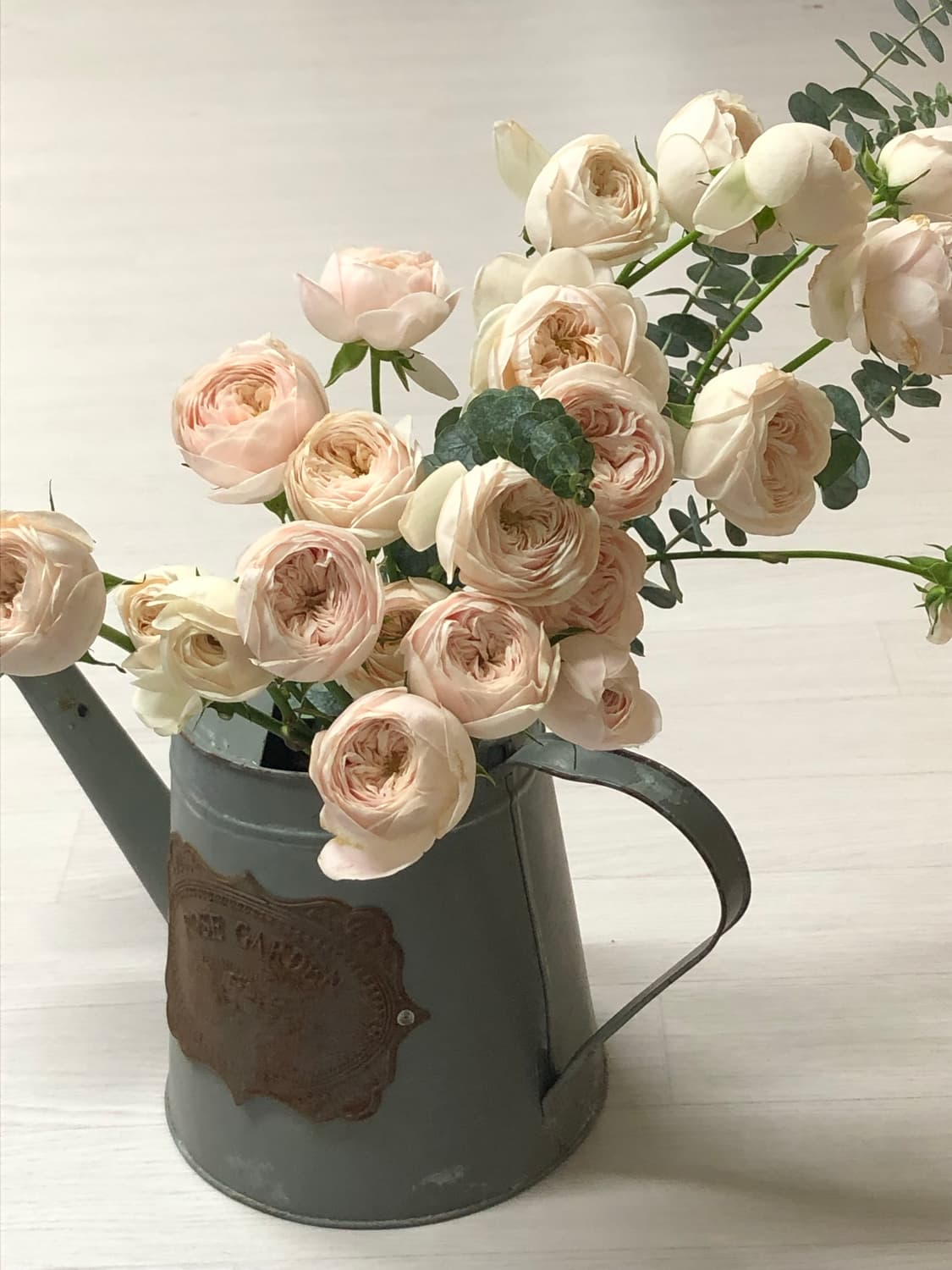 아이폰8 로즈골드 64G 상품이미지5