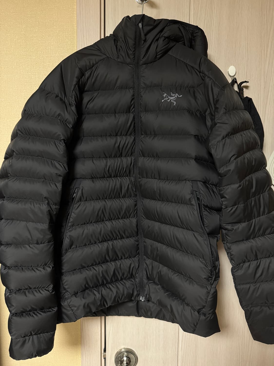 아크테릭스 세륨 25FW M 상품이미지1