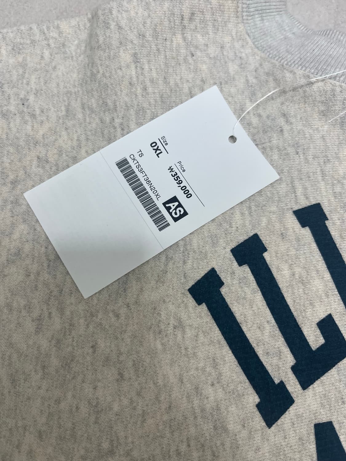 챔피온 트루투아카이브 맨투맨 스웻셔츠 상품이미지2