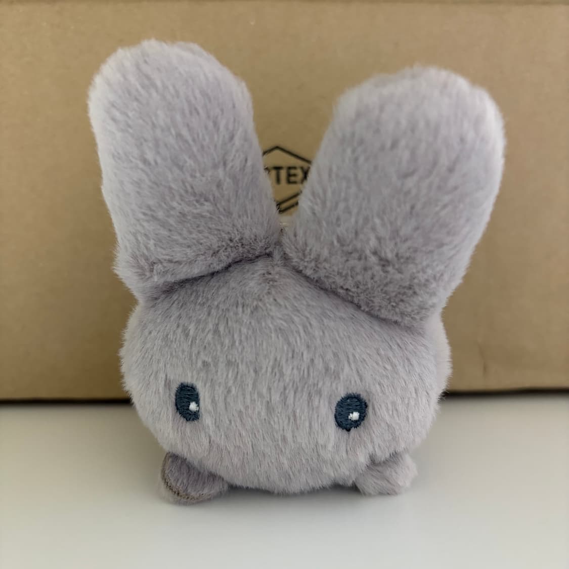 지초이 지토 눕토 상품이미지2