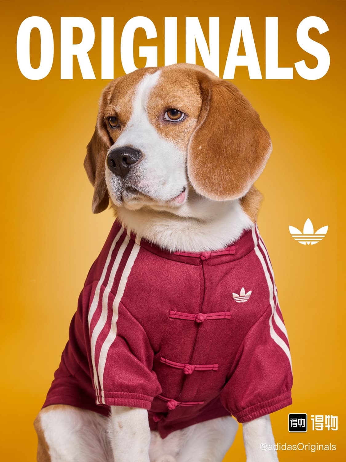 아디다스 강아지 고양이 옷 중티다스 상품이미지2