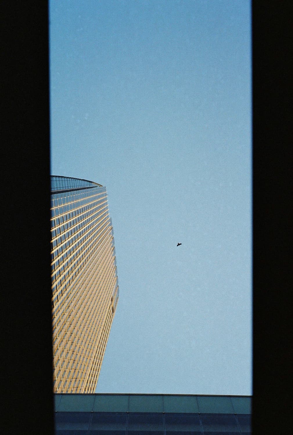 미놀타 카피오스 75 필름카메라 상품이미지7