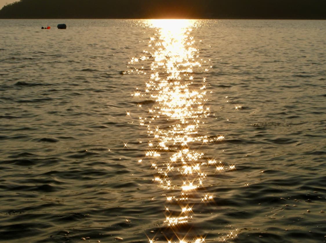 산요작티 캠코더 Sanyo Xacti VPC HD1A 상품이미지7