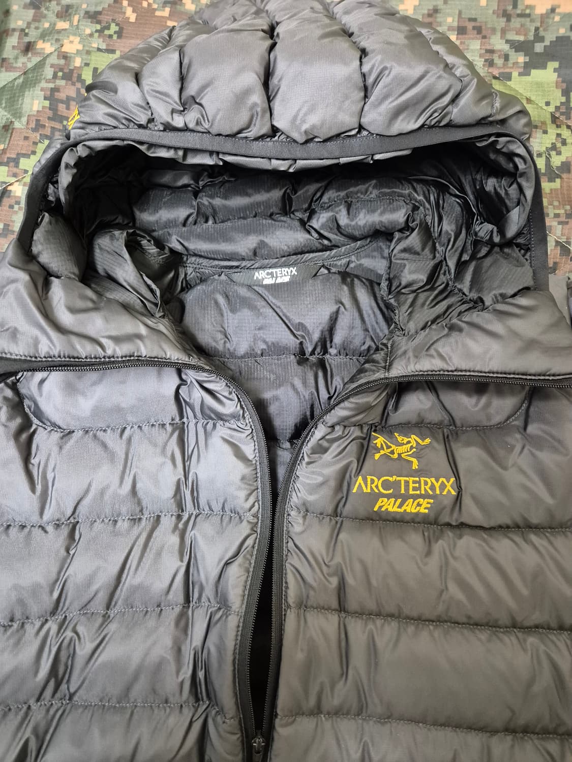 M) 아크테릭스 팔라스 세륨 lt 후디 상품이미지7