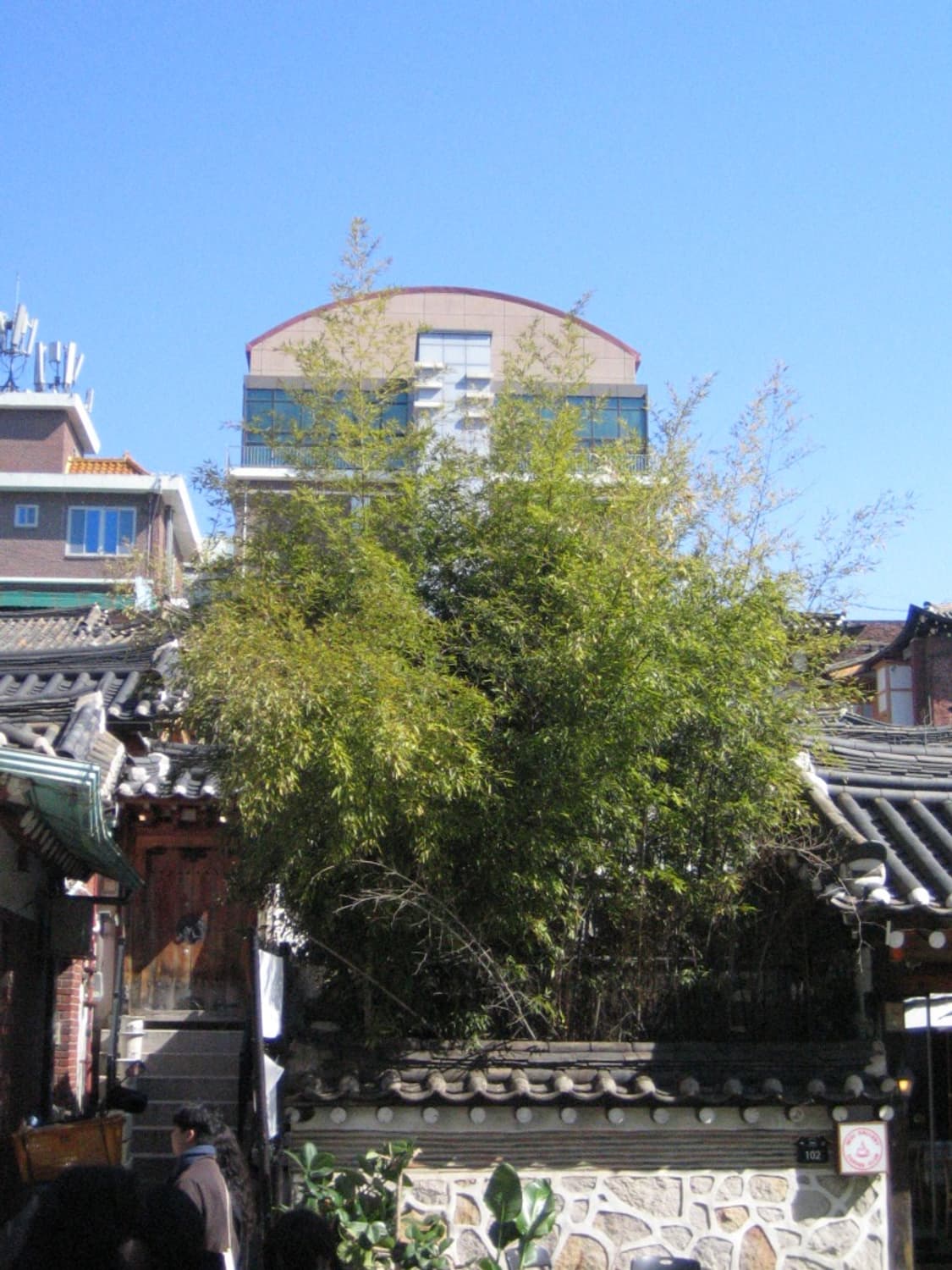 [작례O]Canon IXY50(IXY40)  상품이미지5