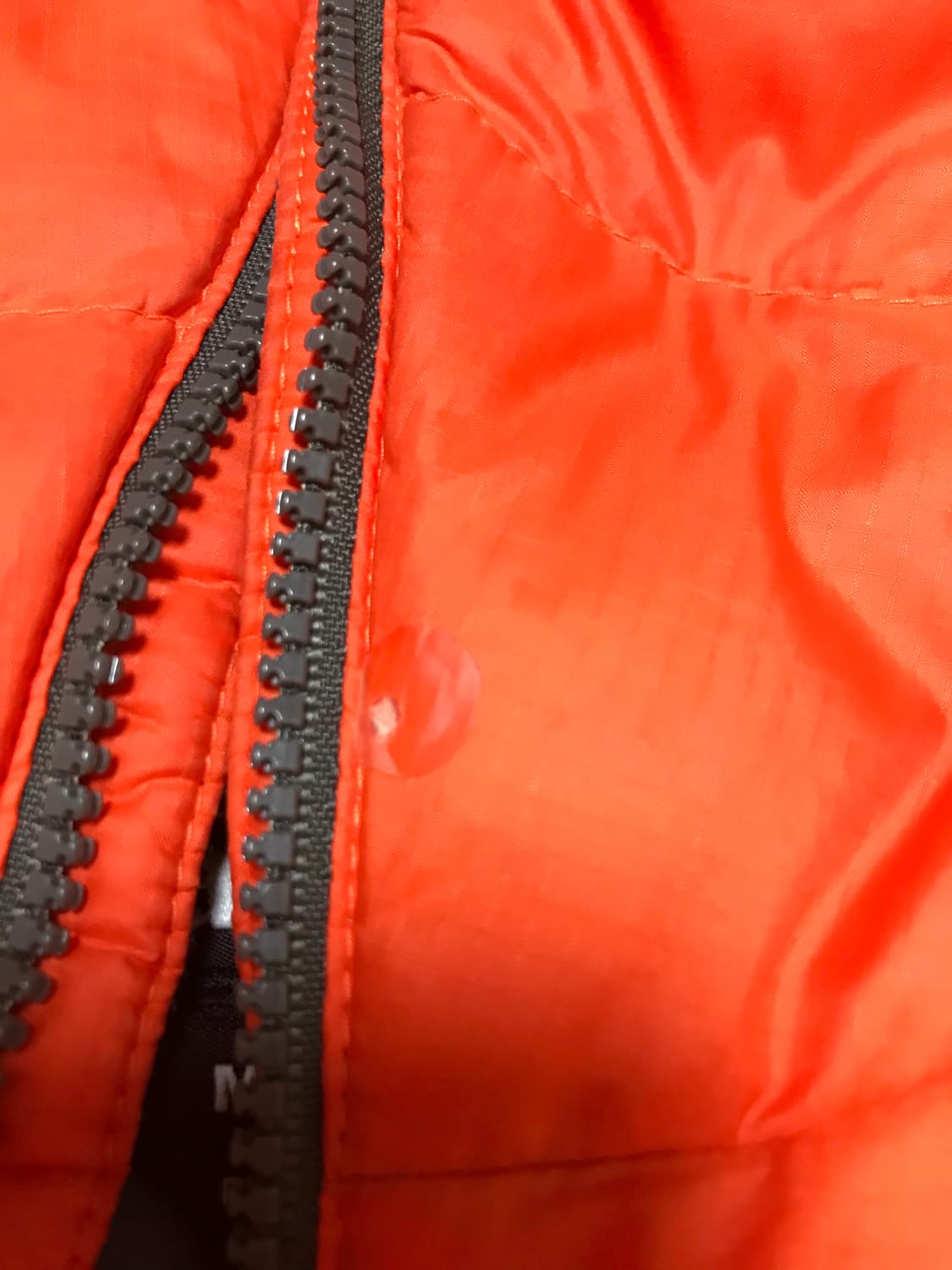 파타고니아 다운패딩  상품이미지3