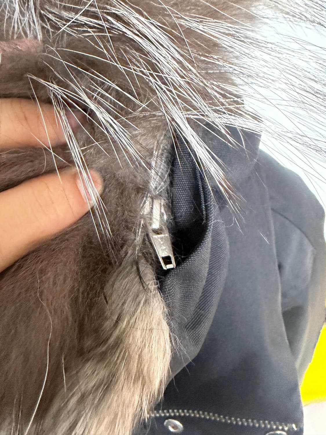 [23FW, 44size] 맥케이지 딕슨 실버 패딩 괴물퍼 블랙 상품이미지6