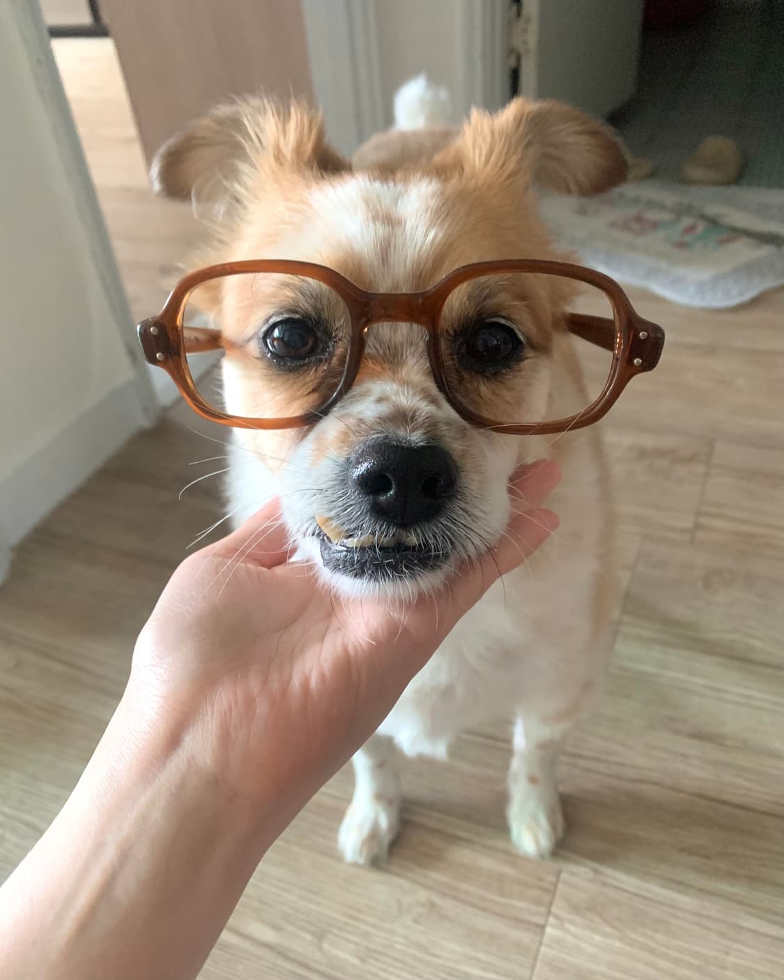 BCG 미군 안경 상품이미지1