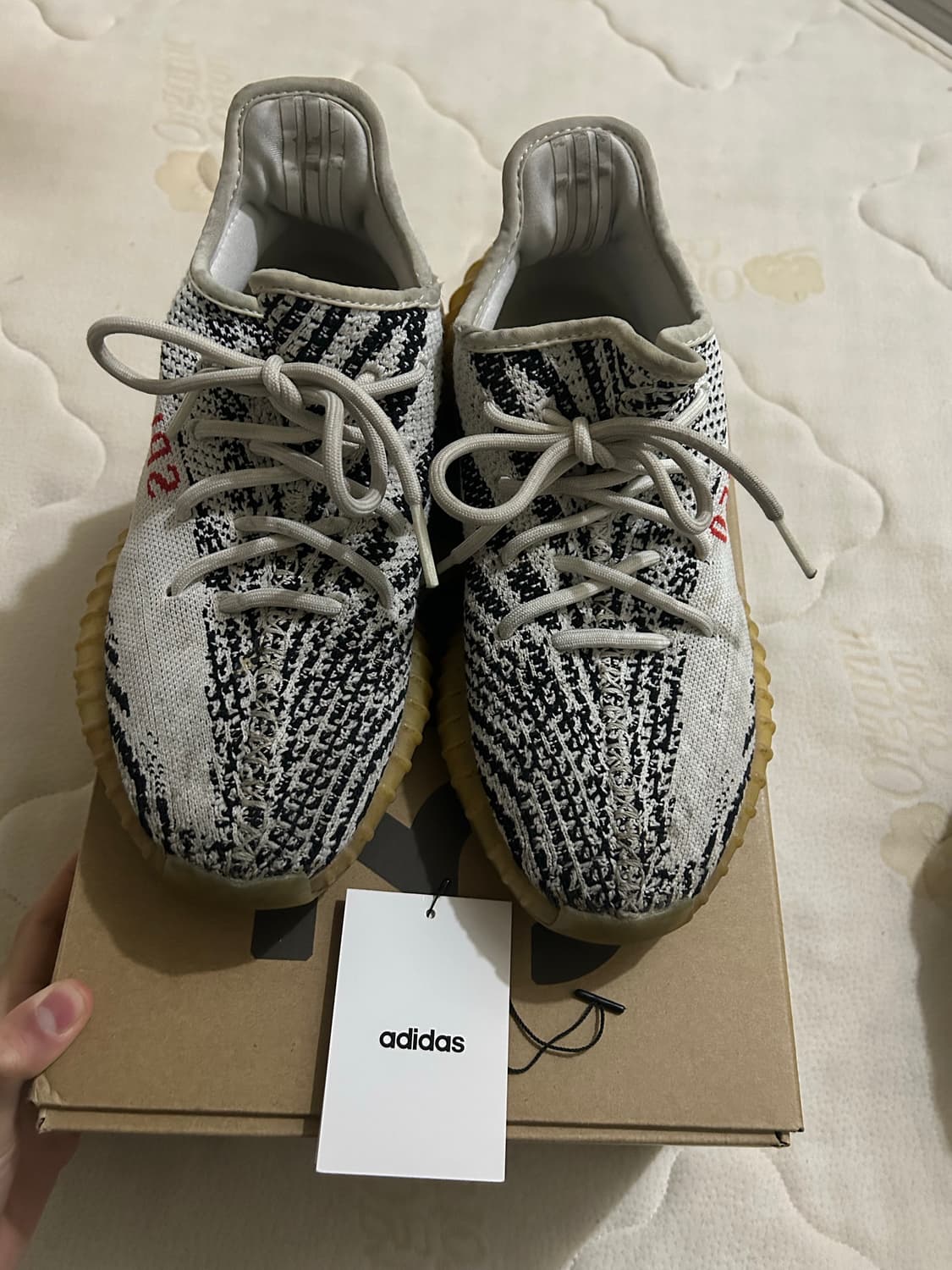 이지부스트 지브라 255 상품이미지1