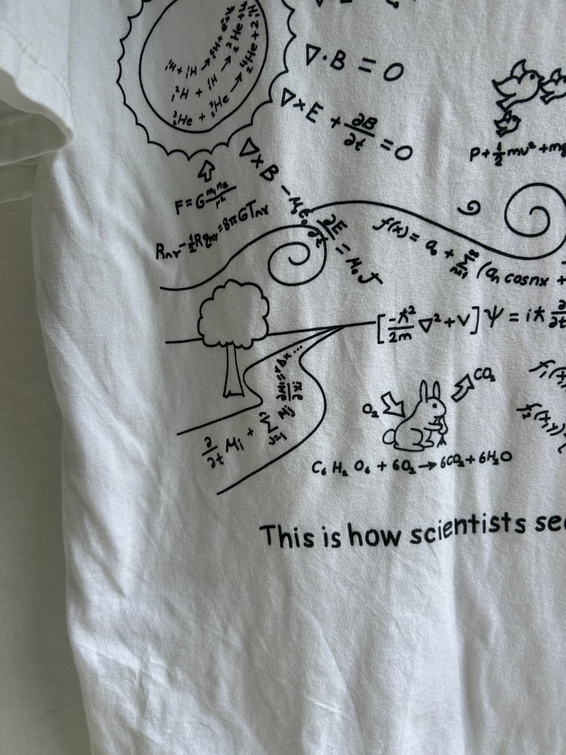 This is how scientists see the world  상품이미지6