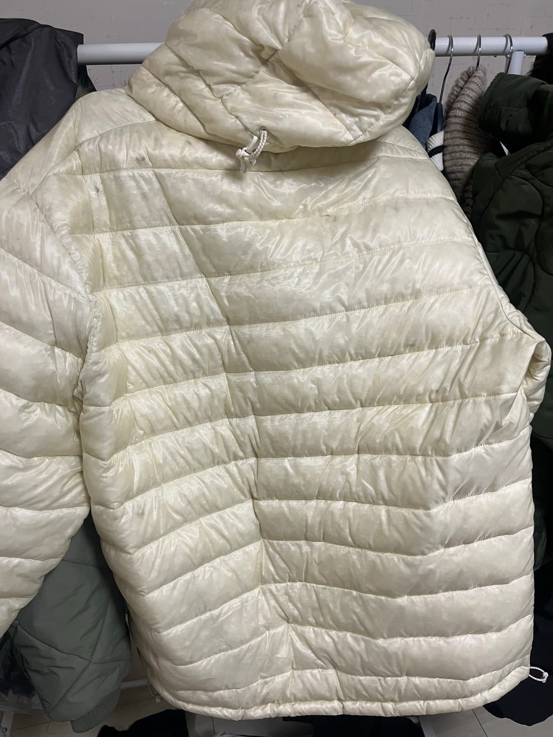 코닥 에센셜 구스 경량 다운패딩 (경량패딩) 상품이미지3