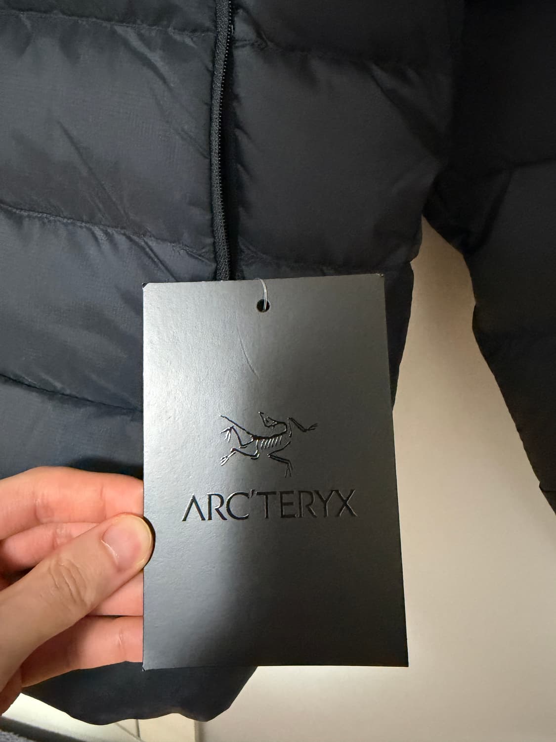 25FW 아크테릭스 토륨 L 논후드 새상품 상품이미지2