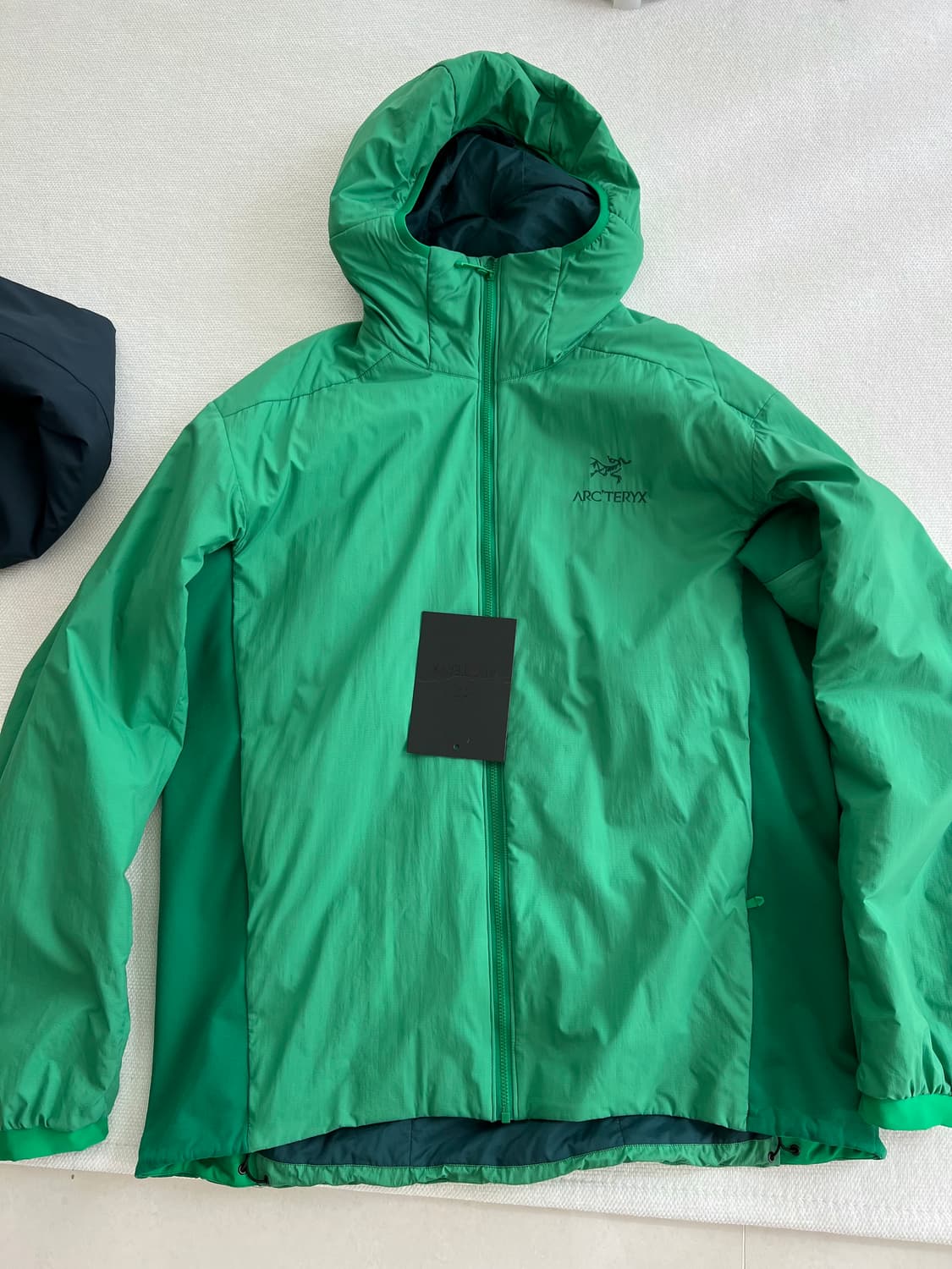 아크테릭스 LT 후디 정글 상품이미지1