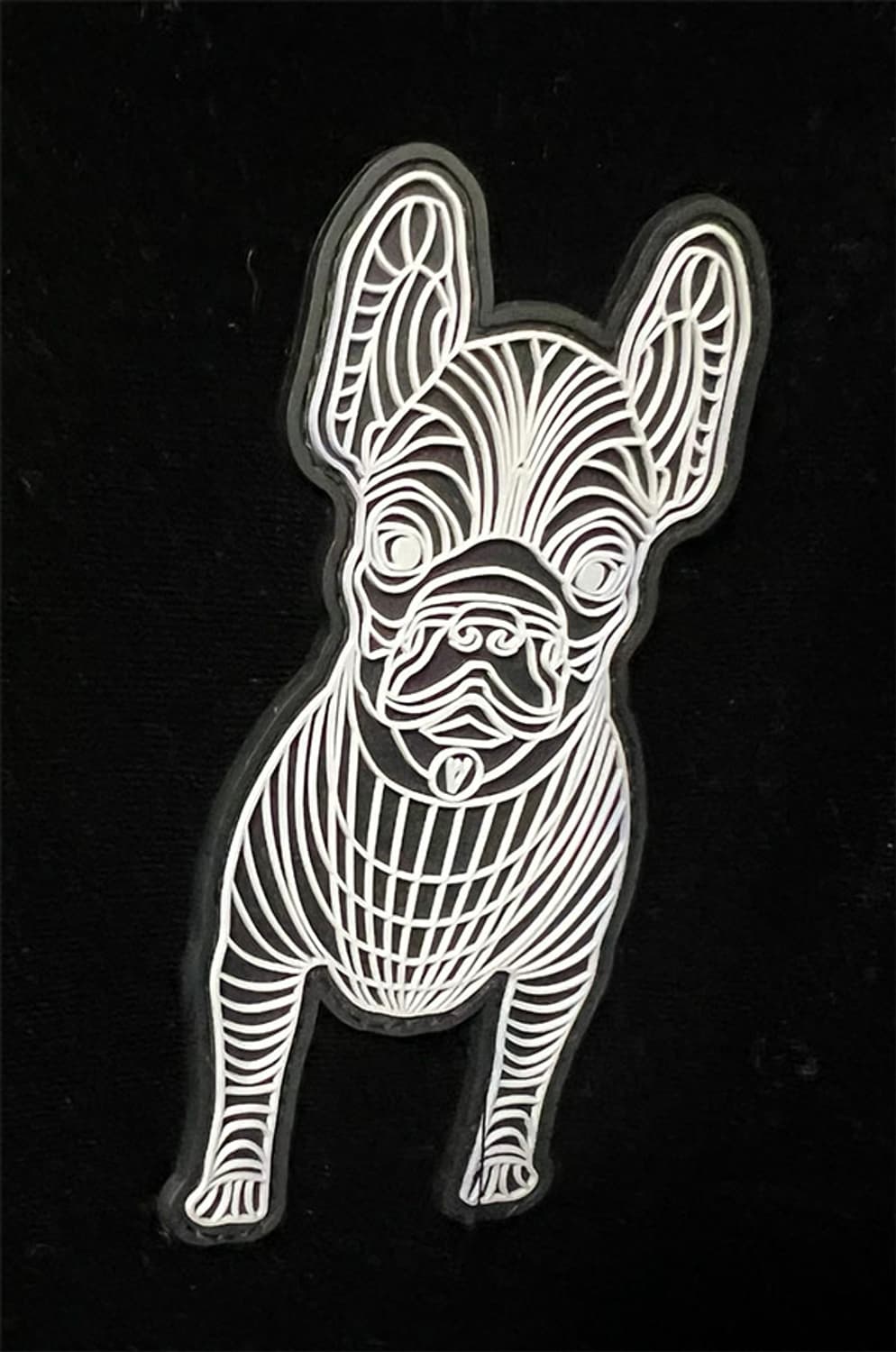 라이프워크 여자 벨벳 후드집업 추동 프리 최대 88사이즈  상품이미지4